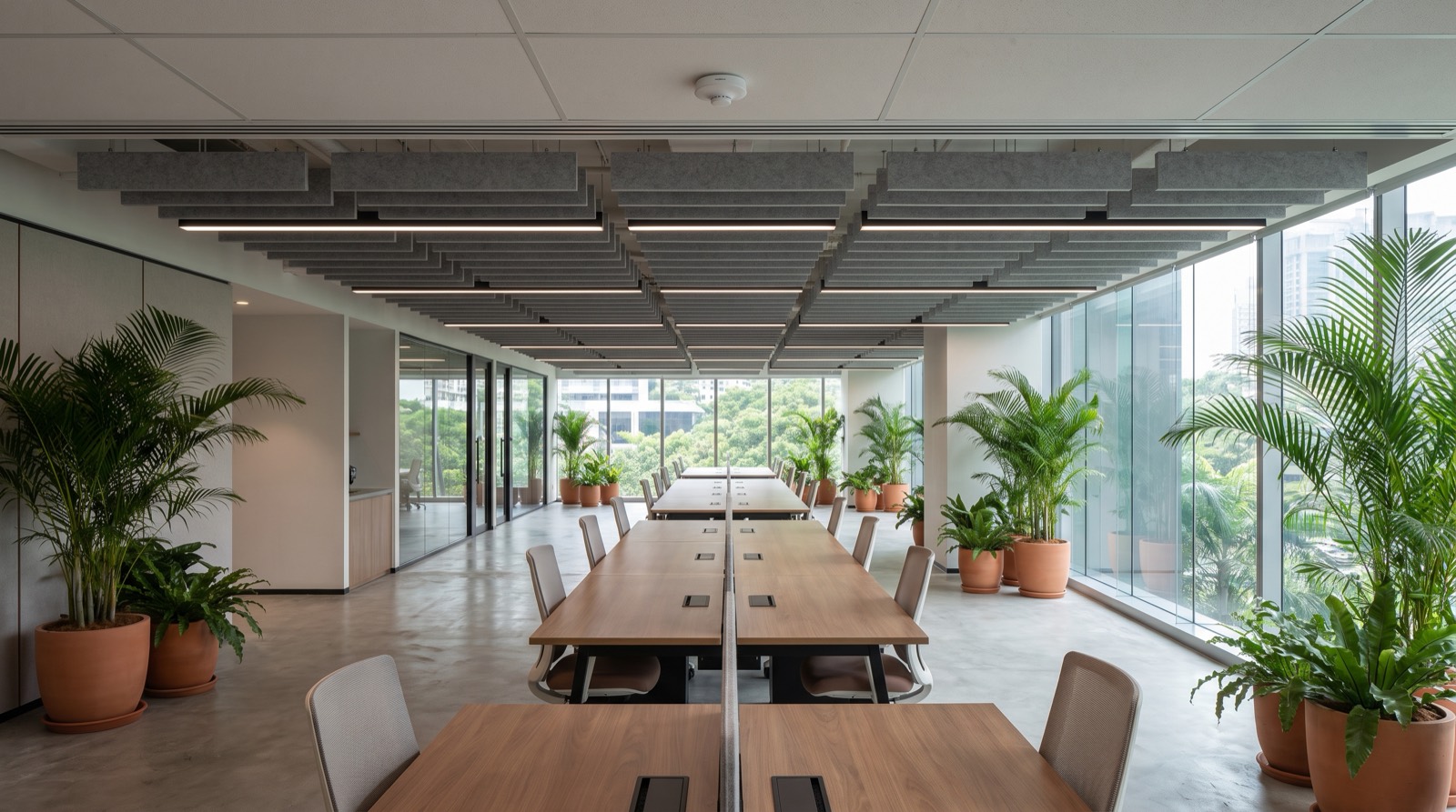 An empty open-plan office floor with a low suspended ceiling grid, grey acoustic baffles and a single small round ceiling-mounted device at the centre of the ceiling plane, long communal timber tables with power modules, upholstered chairs, potted palms, glass-partitioned meeting rooms and floor-to-ceiling glazing. The frame shows exactly the conditions that decide an office occupancy sensor purchase — a low ceiling, one long unbroken room, and no partitions deep enough to contain a PIR.