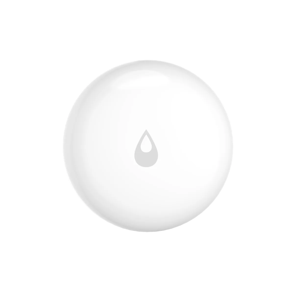 Water Leak Sensor T1